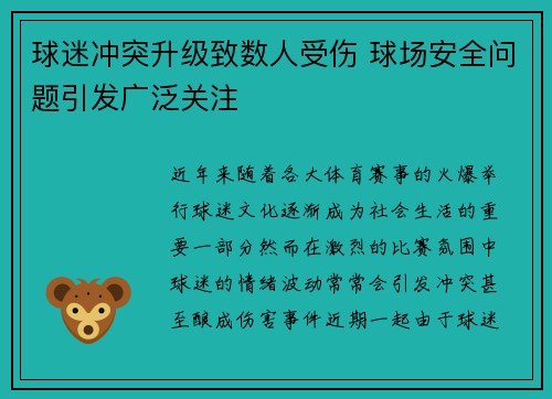 球迷冲突升级致数人受伤 球场安全问题引发广泛关注