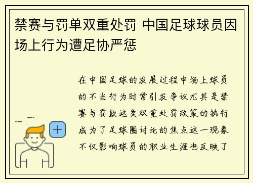 禁赛与罚单双重处罚 中国足球球员因场上行为遭足协严惩